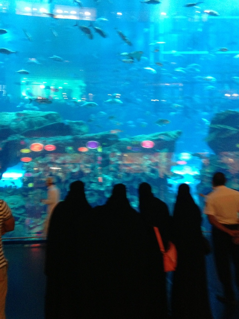 20130703-202002.jpg