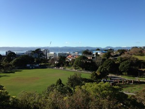 IMG_0425