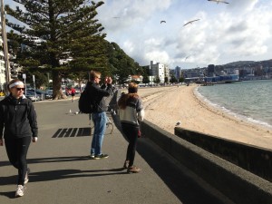 IMG_0441